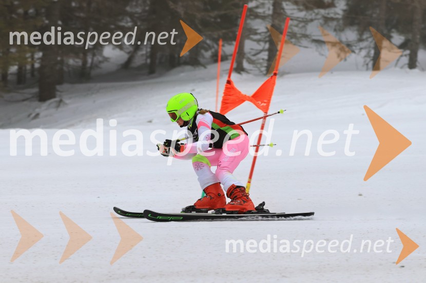 SMUČANJE - SUPER G, U10 in U12, Pokal vzhodne regije, Rogla