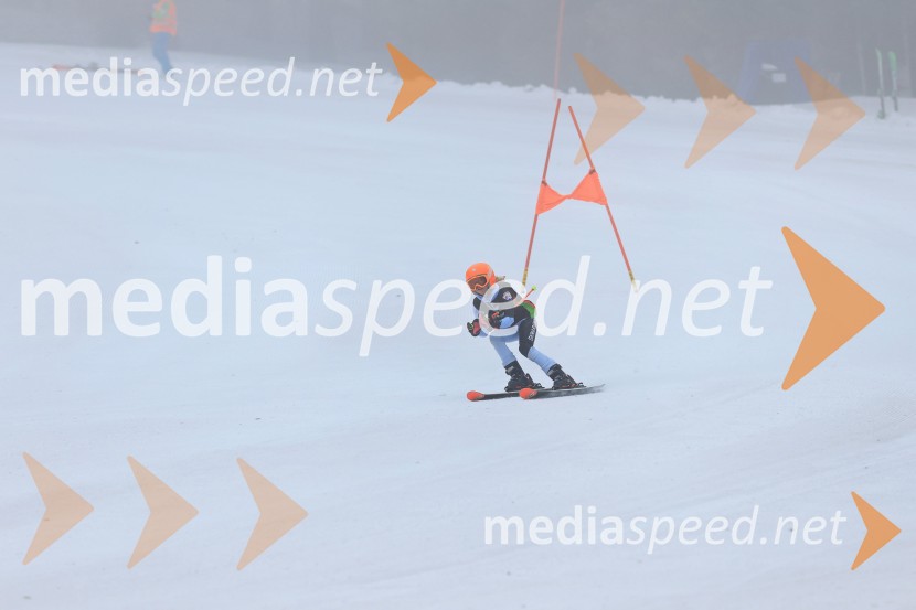 SMUČANJE - SUPER G, U10 in U12, Pokal vzhodne regije, Rogla