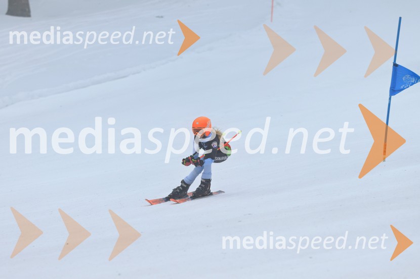 SMUČANJE - SUPER G, U10 in U12, Pokal vzhodne regije, Rogla