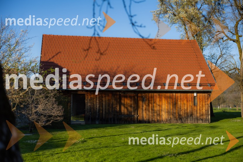 Iskrivo v živo: dr. Kozma Ahačič