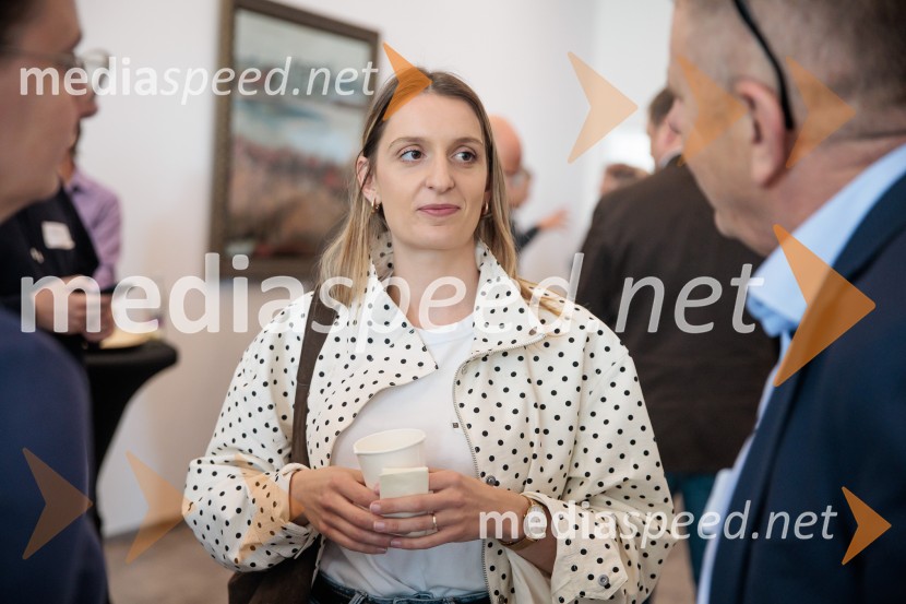 Digitalna preobrazba 2026