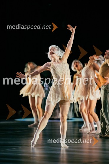 Brezmejno telo, premiera