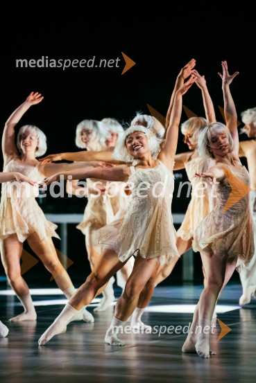 Brezmejno telo, premiera