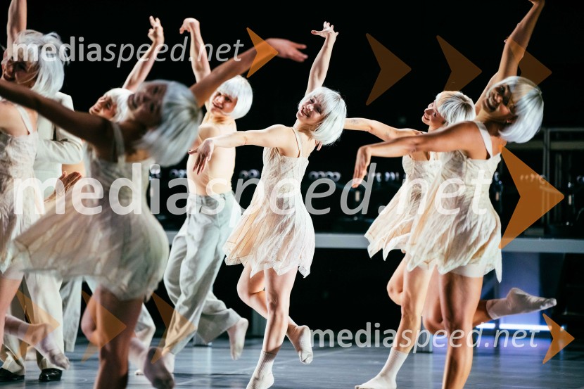 Brezmejno telo, premiera