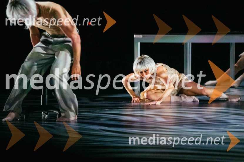 Brezmejno telo, premiera