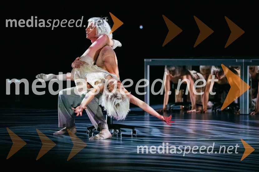 Brezmejno telo, premiera