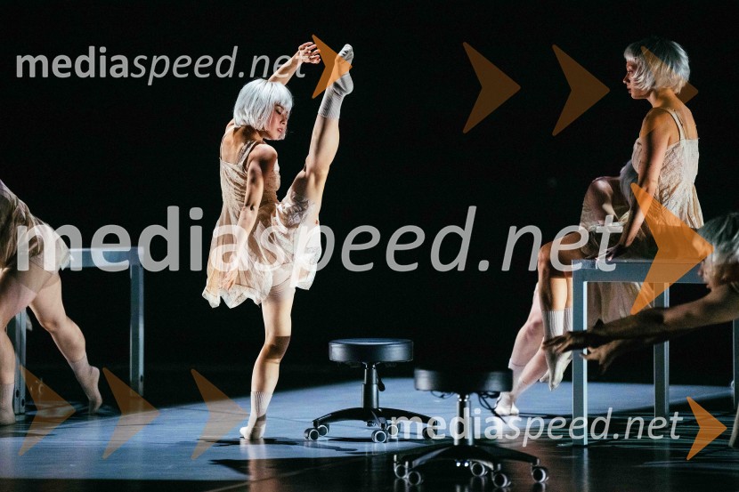 Brezmejno telo, premiera