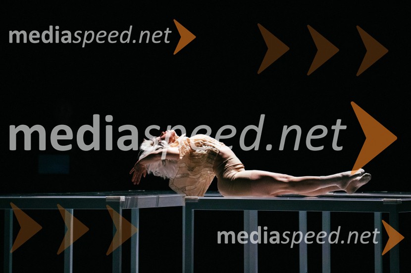 Brezmejno telo, premiera