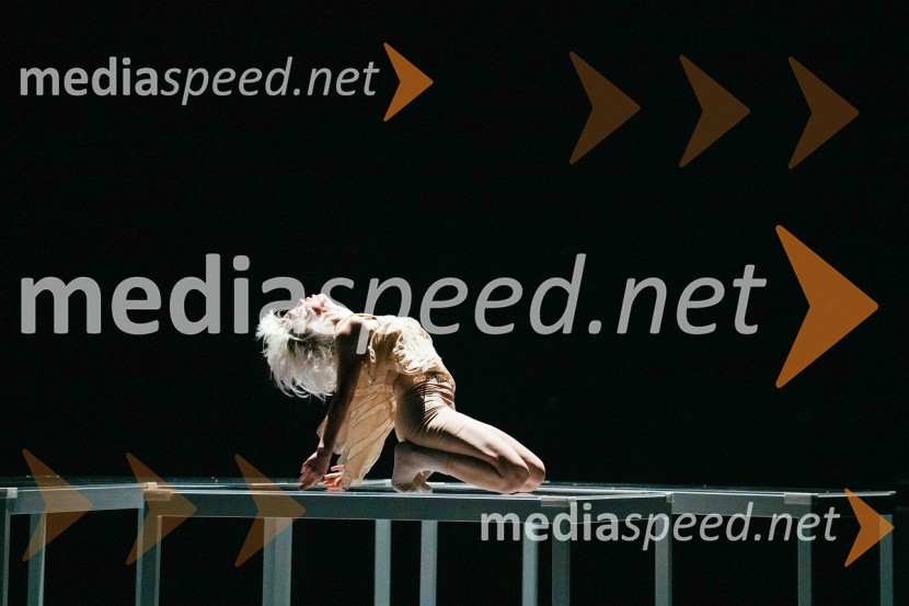 Brezmejno telo, premiera