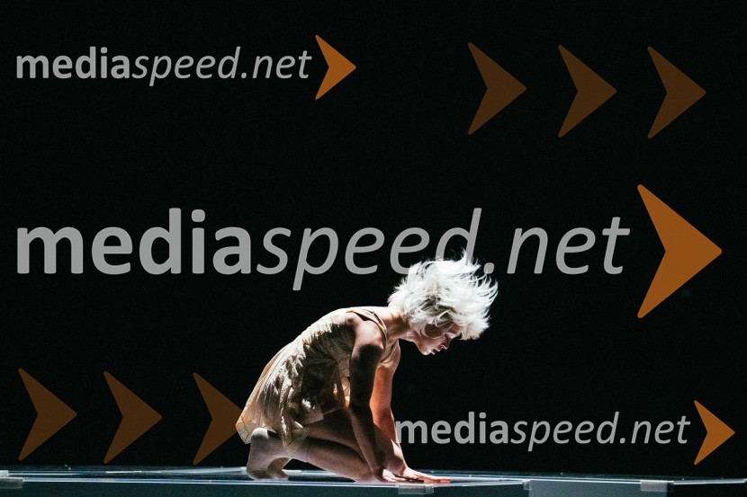 Brezmejno telo, premiera