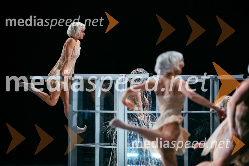 Brezmejno telo, premiera