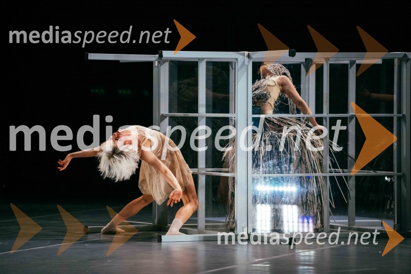 Brezmejno telo, premiera