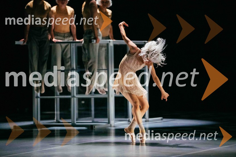 Brezmejno telo, premiera