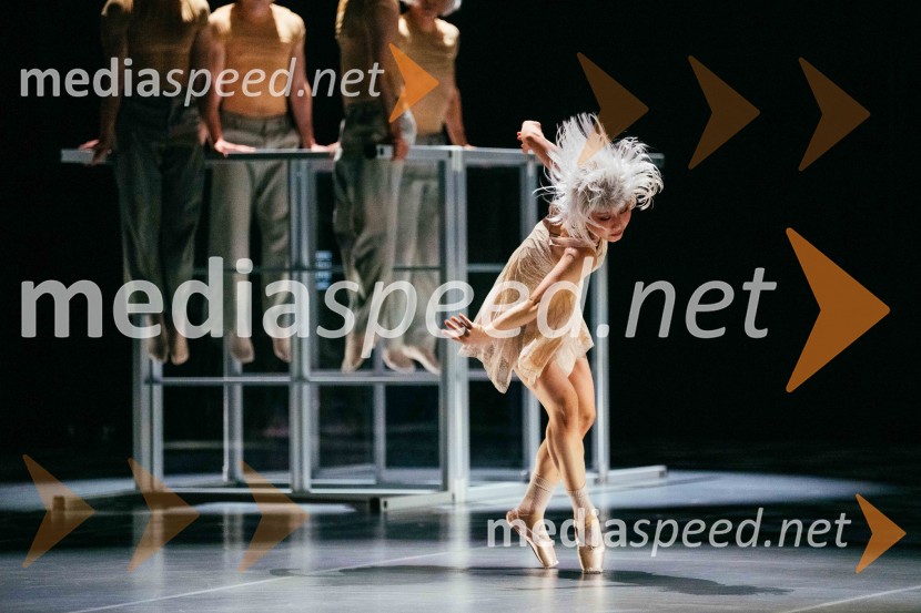 Brezmejno telo, premiera