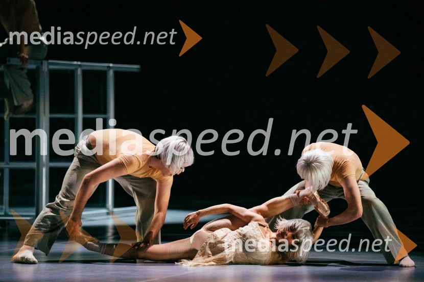 Brezmejno telo, premiera