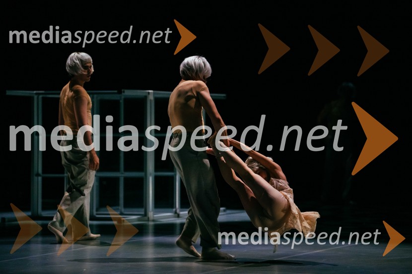 Brezmejno telo, premiera