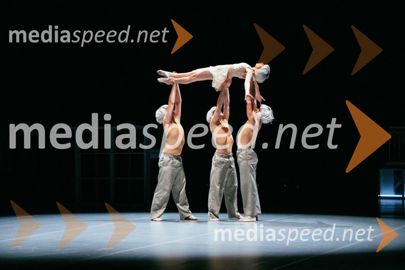 Brezmejno telo, premiera