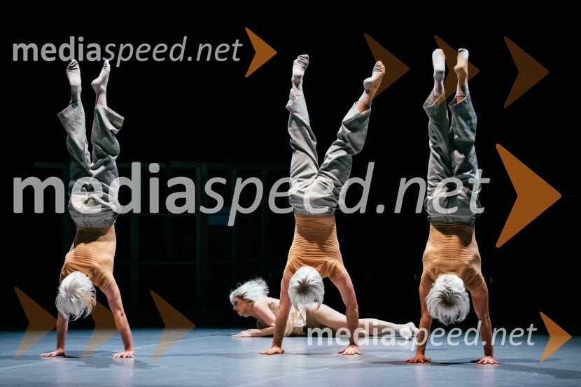 Brezmejno telo, premiera