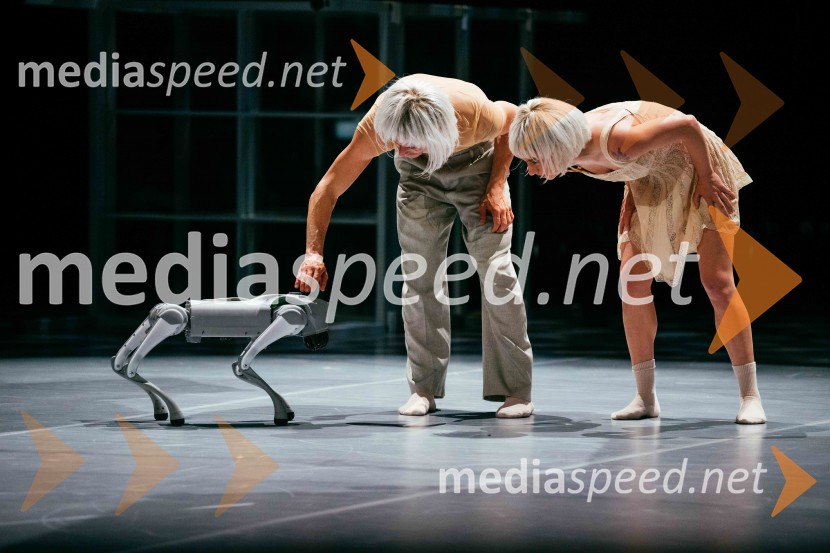 Brezmejno telo, premiera