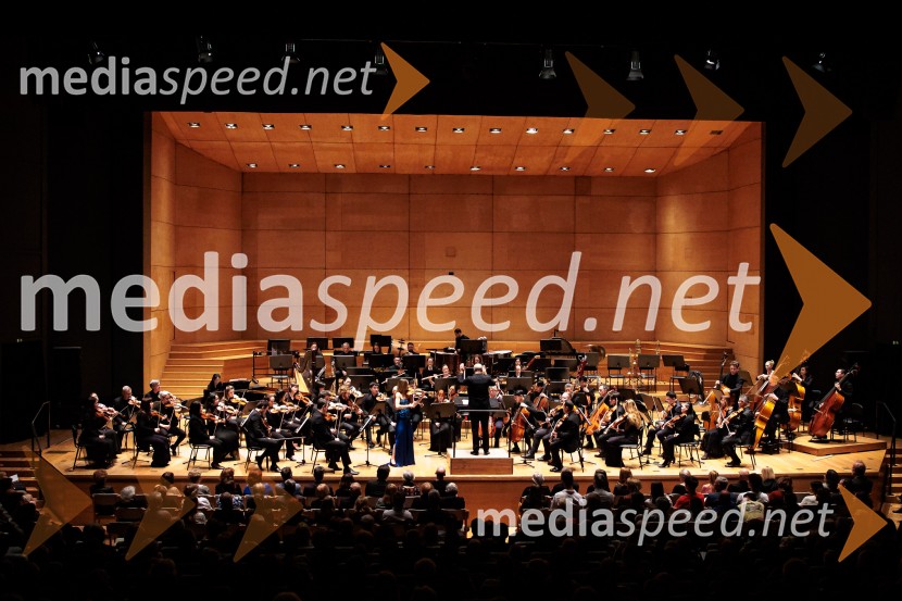 Simfonični orkester iz Vancouvra, Cankarjev Dom