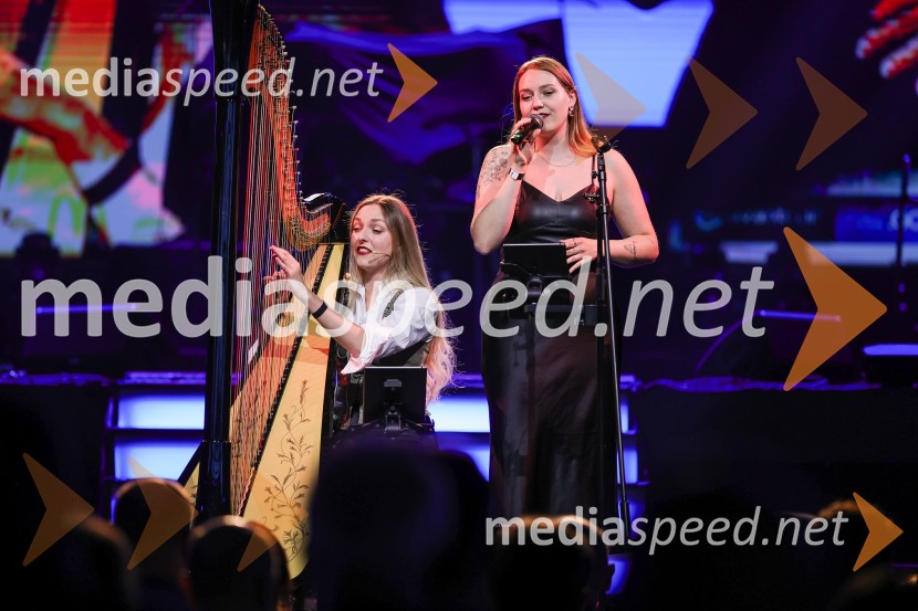 Veliki dobrodelni dogodek Ivo Rocks 7.0