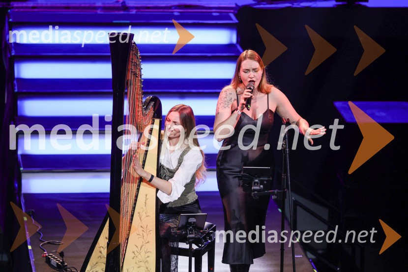 Veliki dobrodelni dogodek Ivo Rocks 7.0