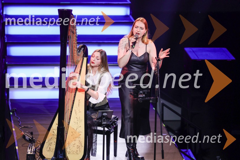 Veliki dobrodelni dogodek Ivo Rocks 7.0