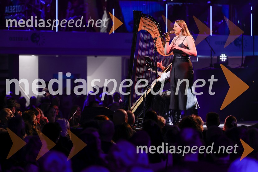 Veliki dobrodelni dogodek Ivo Rocks 7.0