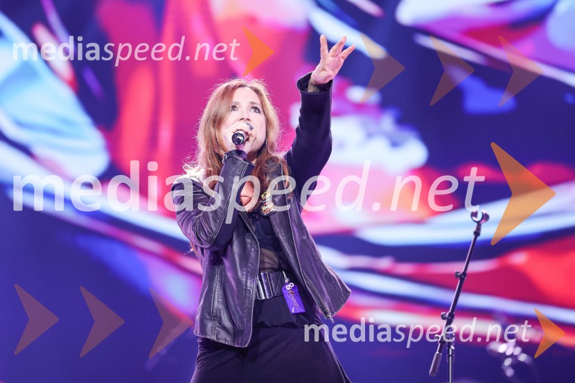 Veliki dobrodelni dogodek Ivo Rocks 7.0