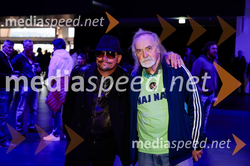 Veliki dobrodelni dogodek Ivo Rocks 7.0