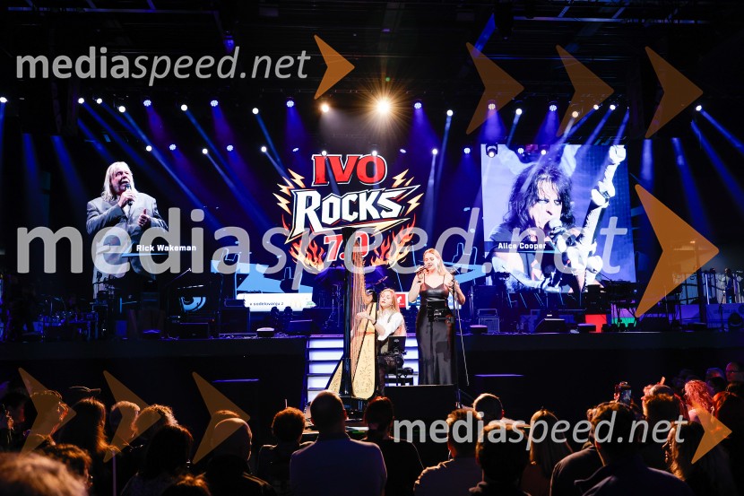 Veliki dobrodelni dogodek Ivo Rocks 7.0