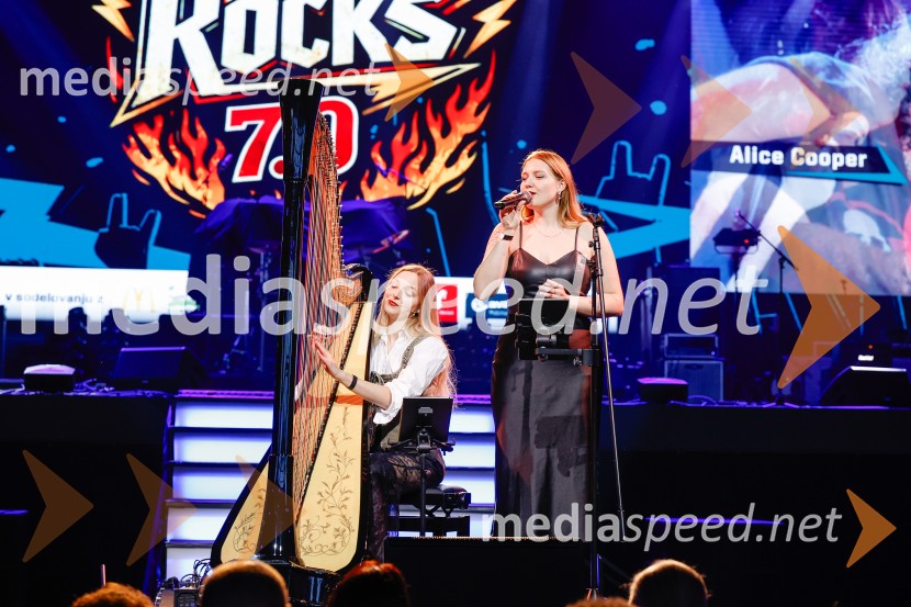 Veliki dobrodelni dogodek Ivo Rocks 7.0