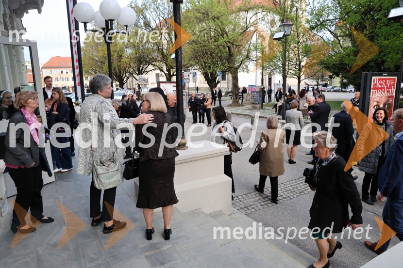 Dobrodelni koncert Zavoda Antona Martina Slomška