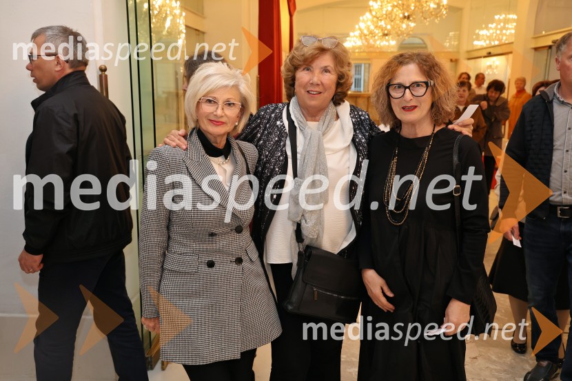 Dobrodelni koncert Zavoda Antona Martina Slomška