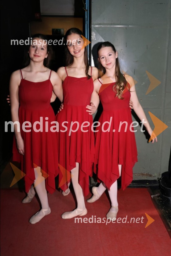 Dobrodelni koncert Zavoda Antona Martina Slomška