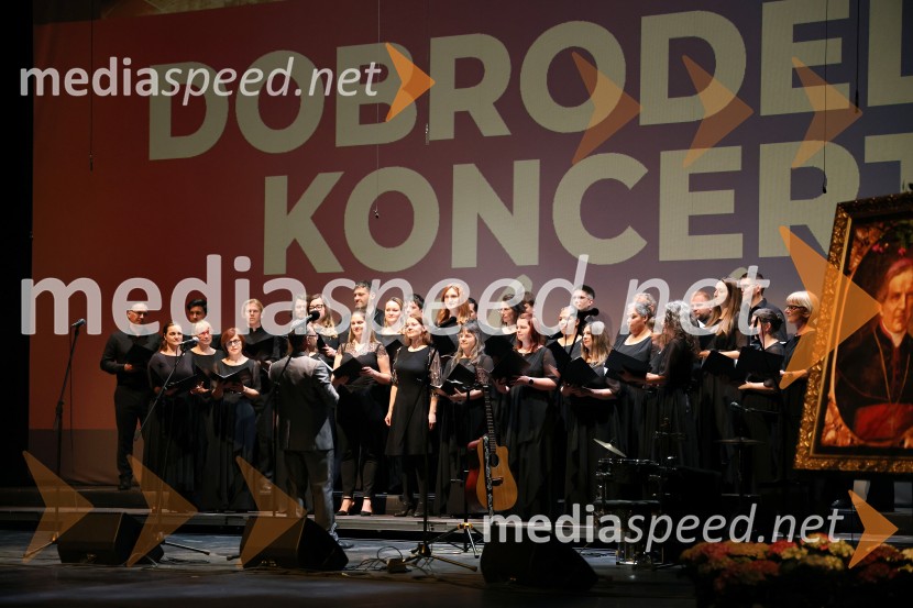 Dobrodelni koncert Zavoda Antona Martina Slomška