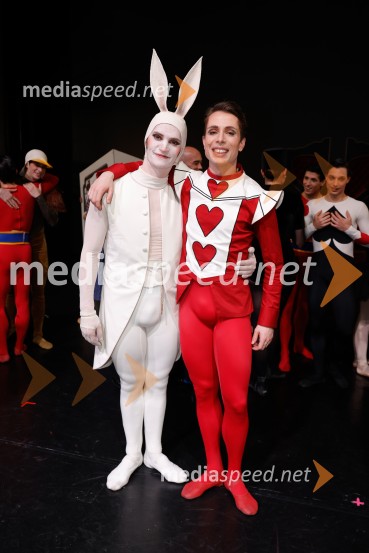 Alica v čudežni deželi, premiera