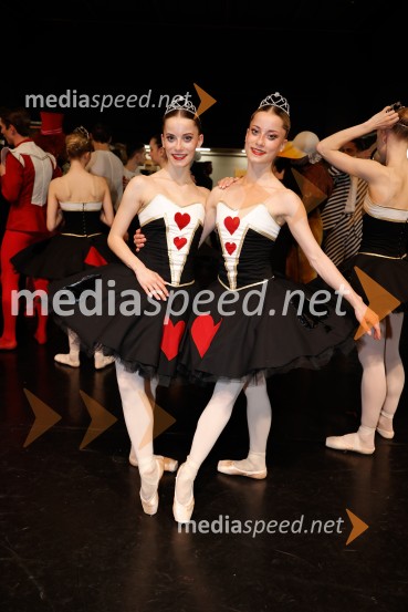 Alica v čudežni deželi, premiera