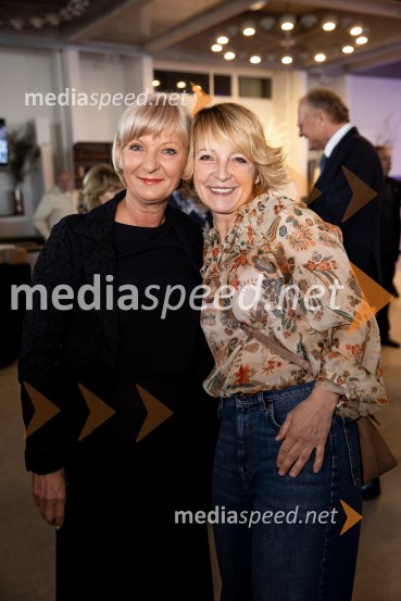 Predstavitev knjige Petra Čeferina Smeh na sodišču