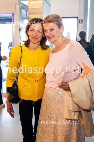 Predstavitev knjige Petra Čeferina Smeh na sodišču