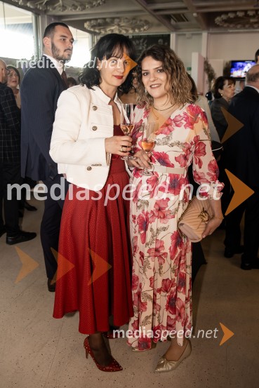 Predstavitev knjige Petra Čeferina Smeh na sodišču