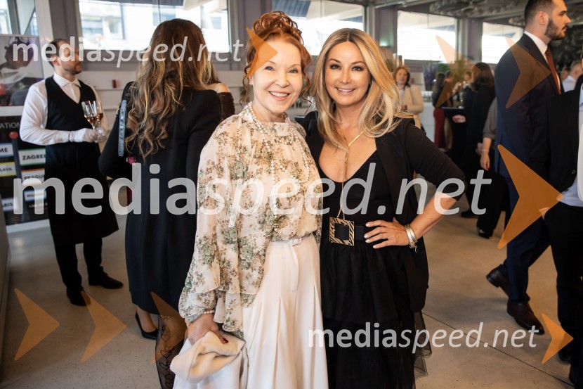 Predstavitev knjige Petra Čeferina Smeh na sodišču