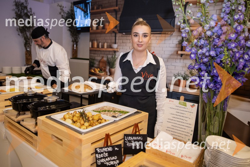 Predstavitev knjige Petra Čeferina Smeh na sodišču