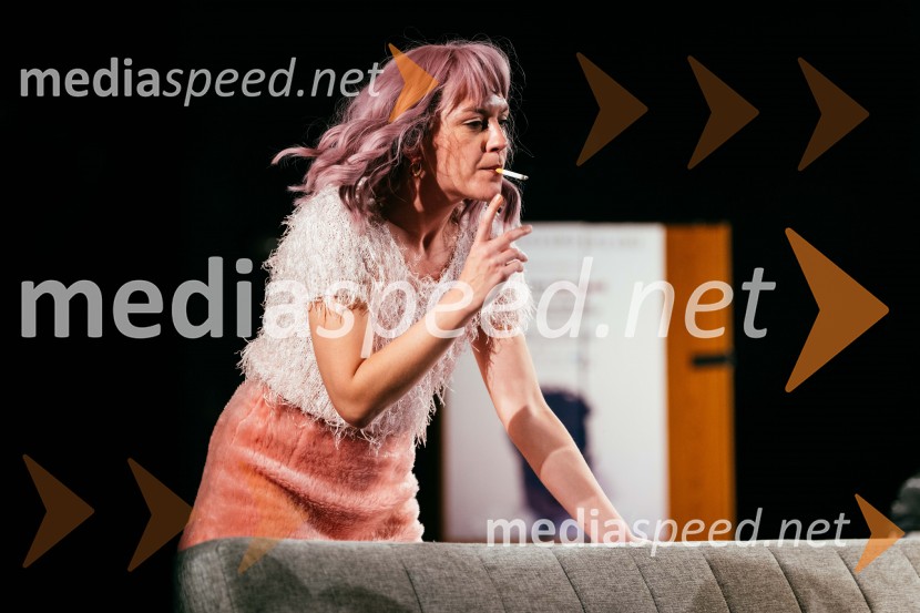 Konec epohe, premiera, SNG Nova Gorica