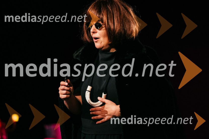 Konec epohe, premiera, SNG Nova Gorica