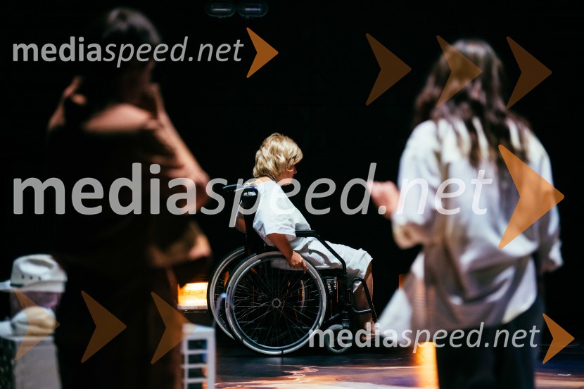 Konec epohe, premiera, SNG Nova Gorica