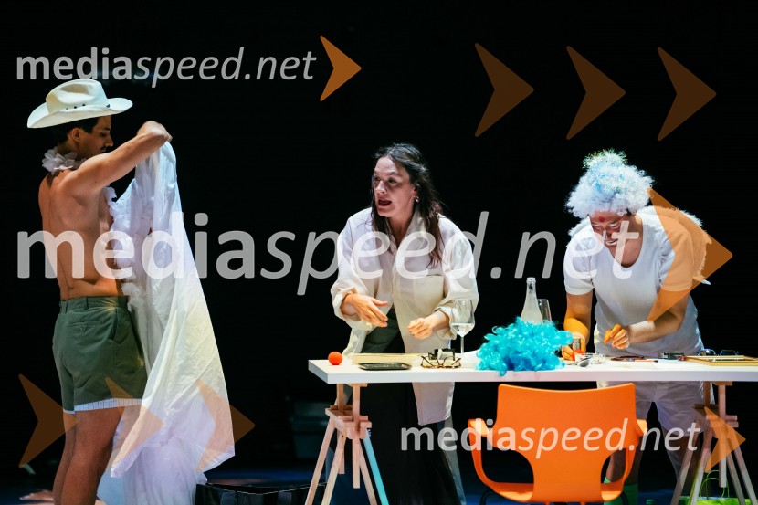 Konec epohe, premiera, SNG Nova Gorica