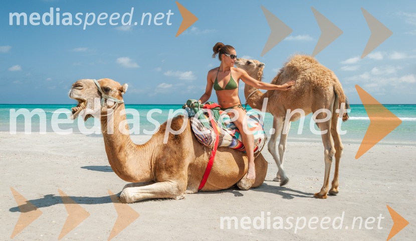 Kateri stil dopusta je vaš?