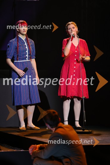 Državna proslava ob dnevu upora proti okupatorju