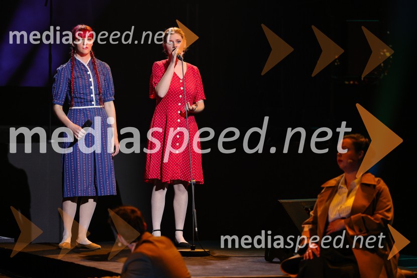 Državna proslava ob dnevu upora proti okupatorju